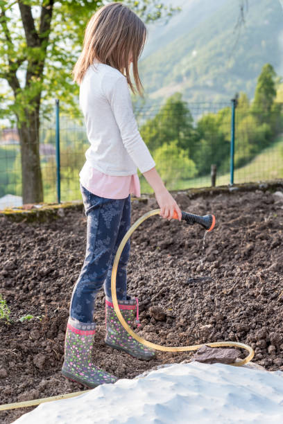istock Girl in Springtime at the Sunset Watering Planted Vegetable Beds 1248730130