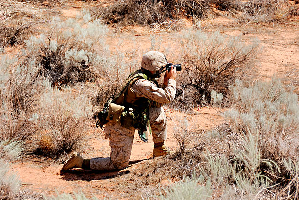 istock Marine In Desert Camo Uniform During Reconnaissance Mission 124873552
