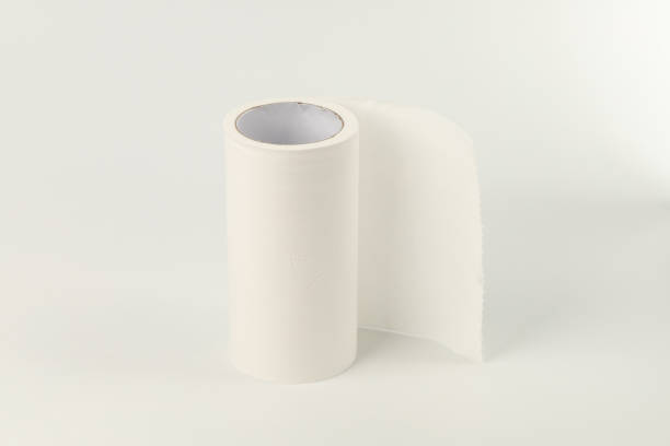 istock Roll of toilet paper 1248735586