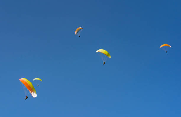 Paragliders in the blue sky of the Allgau Alps around the Mittag summit in Immenstadt, Bavaria