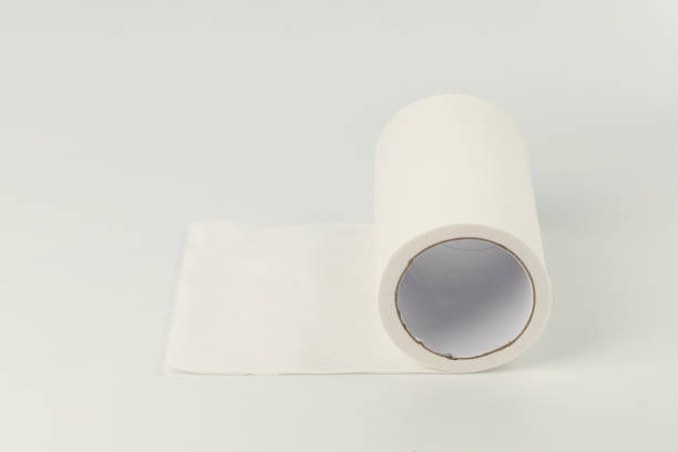 istock Roll of toilet paper 1248737119