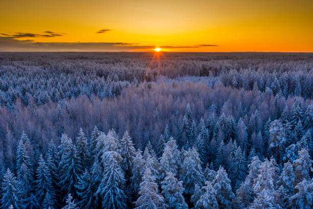 istock Winter landscape at sunset 1248738915