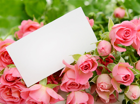 Corner arrangements with pink rose flowers and green frame isolated on white background