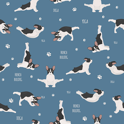 Yoga dogs poses and exercises. French bulldog seamless pattern. Vector illustration