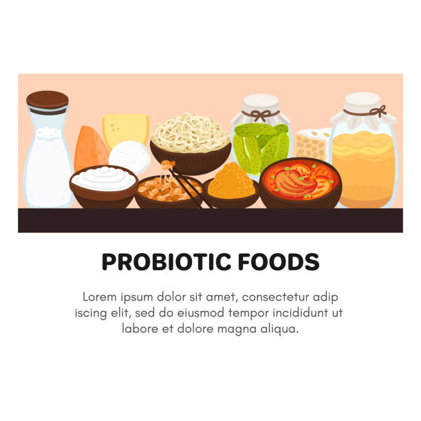Vector probiotic foods. Best sources of probiotics. Beneficial bacteria improve health. Design is for label, brochure Vector probiotic foods. Best sources of probiotics. Beneficial bacteria improve health. Design is for label, brochure, menu, poster, advertising banner, article about diets, healthy proper nutrition kombucha jar stock illustrations