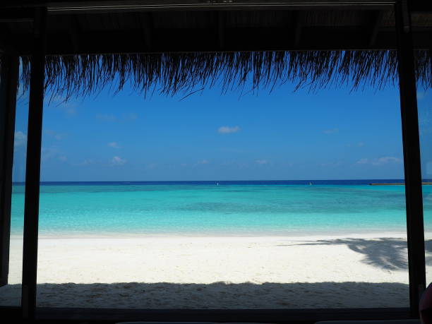 istock Under the shade by the beach 1248740627