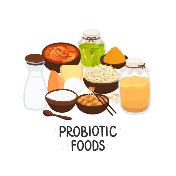 Vector probiotic foods. Best sources of probiotics. Beneficial bacteria improve health. Design is for label, brochure Vector probiotic foods. Best sources of probiotics. Beneficial bacteria improve health. Design is for label, brochure, menu, poster, advertising banner, article about diets, healthy proper nutrition kombucha jar stock illustrations