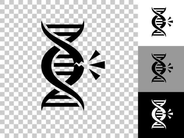 ilustrações, clipart, desenhos animados e ícones de ícone de quebra de dna no fundo transparente do checkerboard - desfigurado