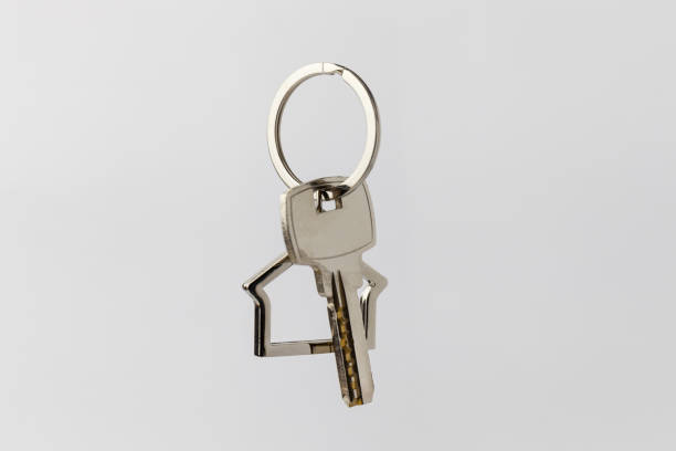 istock Macro view of silver key on the white background 1248742963