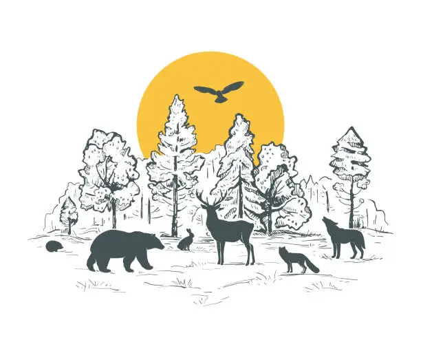 Vector illustration of Sketch vector landscape with forest, sun and animals. Animals silhouettes. Deer, hare, fox, owl, hedgehog, wolf, bear.