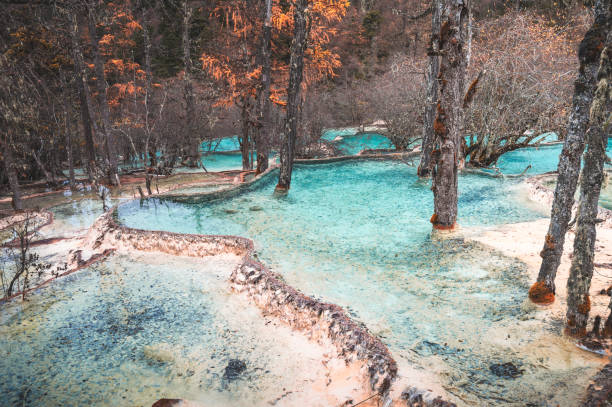 piękny krajobraz przyrody huang long i jiuzhaigou park narodowy z niesamowitym śniegiem w syczuanie, chiny - winter stream river snowing zdjęcia i obrazy z banku zdjęć