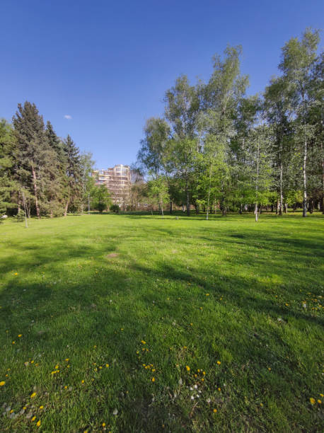 istock South Park in city of Sofia, Bulgaria 1248745936