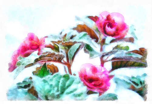 Digital illustration: blooming flowers close-up in watercolor painting style