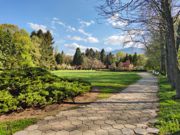 istock South Park in city of Sofia, Bulgaria 1248746524