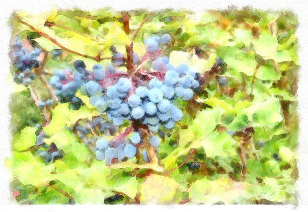 istock Digital illustration: blue berries in watercolor painting style 1248746544