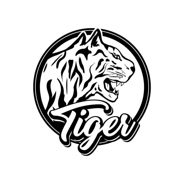 ilustraciones, imágenes clip art, dibujos animados e iconos de stock de plantilla de logotipo vectorial de tigre. cabeza de depredador monocromo blanco y negro - tiger bengal tiger circus black