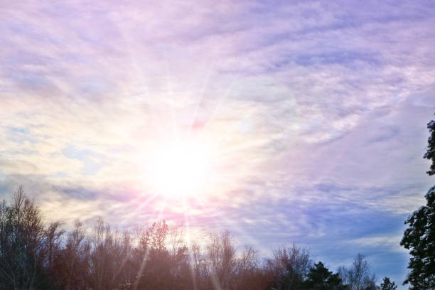Unusually lit cirrus clouds over a winter forest. Sunset over the forest