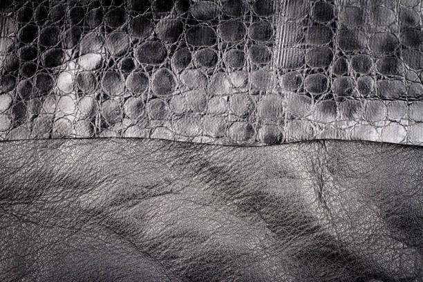 istock Black leather and fake alligator skin textures background 1248753939