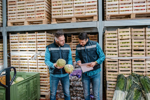 istock Fresh fruits and vegetables in warehouse 1248755796
