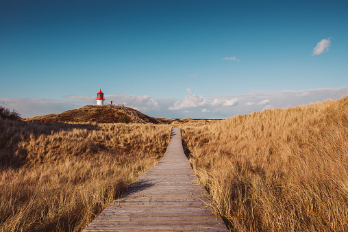 Coast Landscape Island of Amrum, Schleswig-Holstein, Germany Lighthouse in the dunes with a wooden way