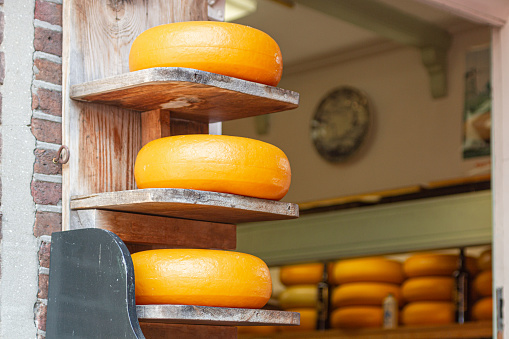 Big wheel of kraft cheese in hands of cheese shop assistant in cheese grocery
