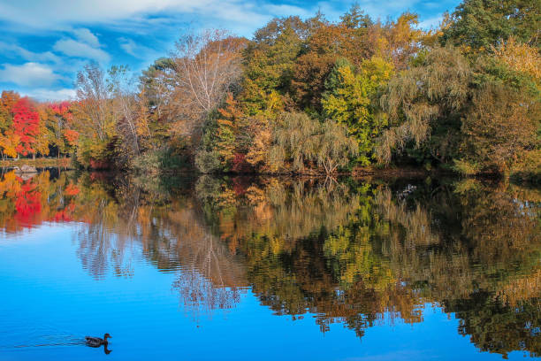 istock Beautiful pond with autumn foliage and reflection 1248760485