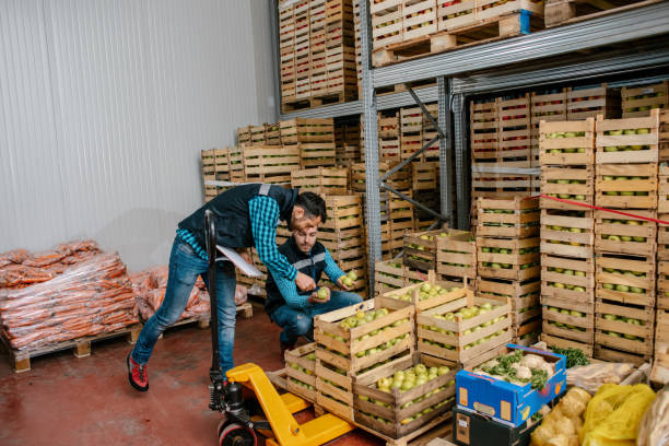 istock Fresh fruits and vegetables in warehouse 1248760636