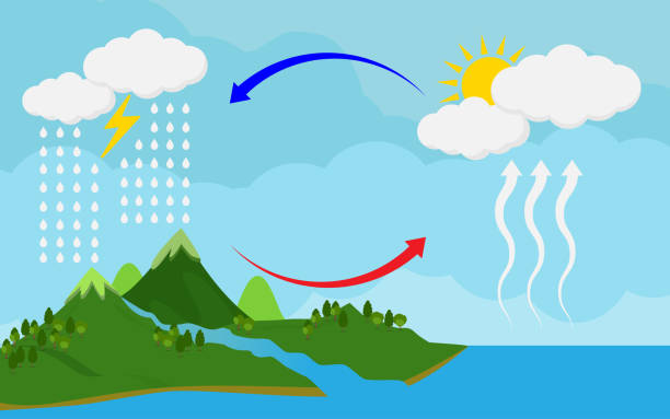 illustrations, cliparts, dessins animés et icônes de cycle de circulation et condensation de l’eau, diagramme affichant le cycle d’eau dans l’illustration et l’icône nature.vector - cycle de leau