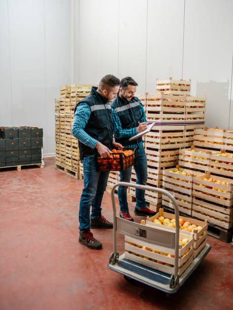 istock Fresh fruits and vegetables in warehouse 1248762040