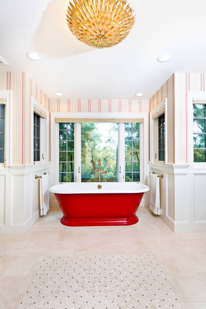 istock Contemporary Bathroom Design with Freestanding Iron Bathtub 1248763032