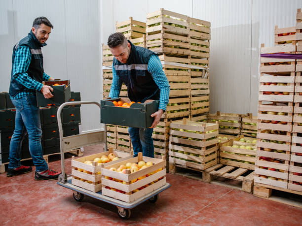 istock Fresh fruits and vegetables in warehouse 1248763379