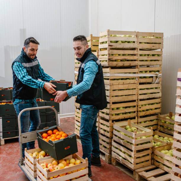 istock Fresh fruits and vegetables in warehouse 1248763749