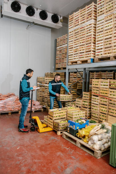 istock Fresh fruits and vegetables in warehouse 1248765061
