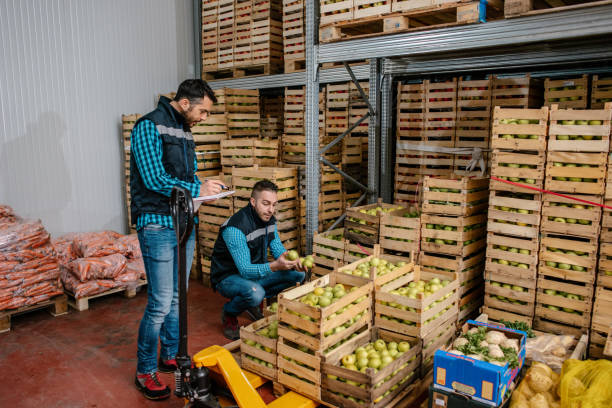 istock Fresh fruits and vegetables in warehouse 1248766092