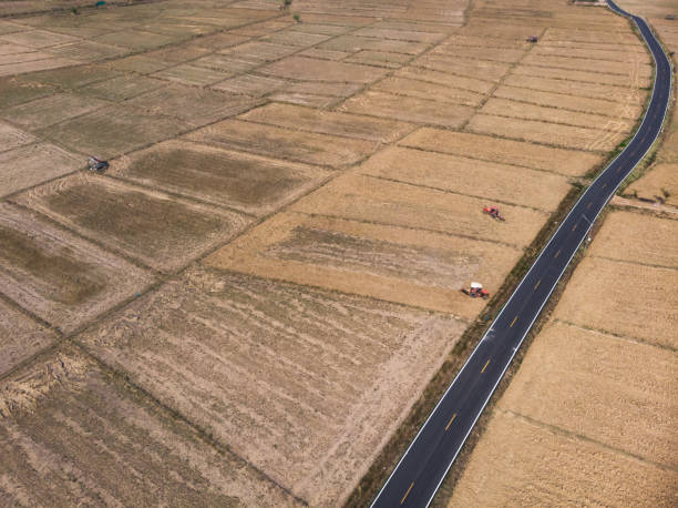 istock Tractor sowing soil for preparing rice field 1248767463