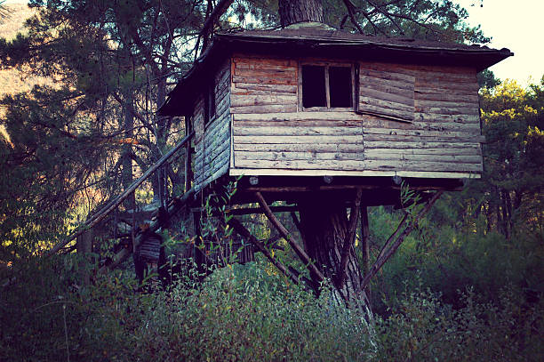 istock Vintage Tree House in Woods 124876826