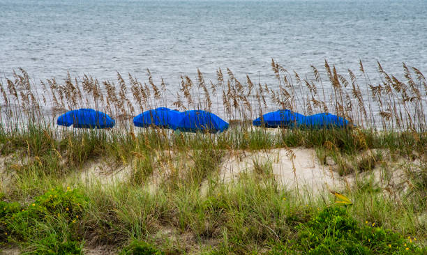 istock Beach in Fernandina, Florida 1248770755