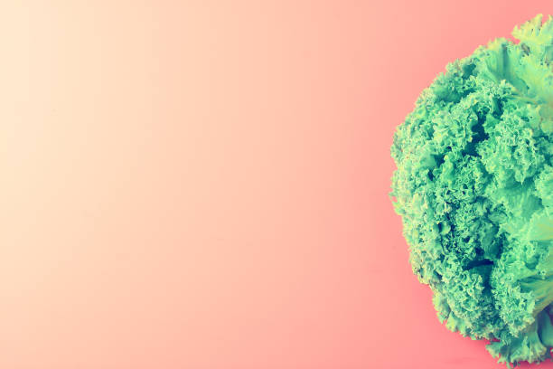 istock Lettuce on pink background. Green healthy eating concept. Top view, copy space 1248770780