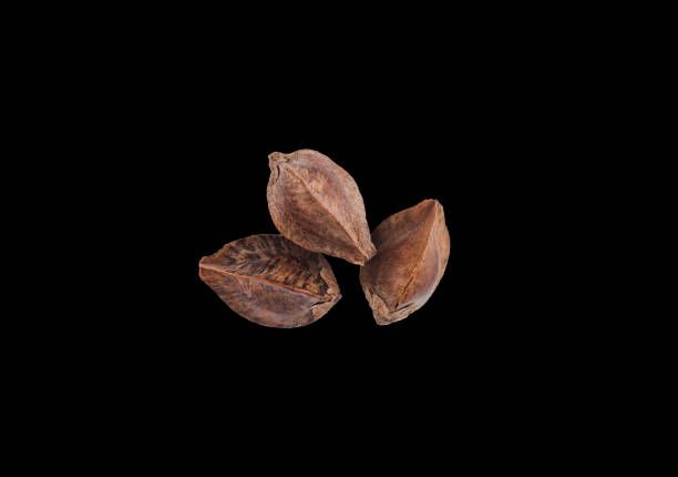 three seeds of not cleaned buckwheat isolated on black background
