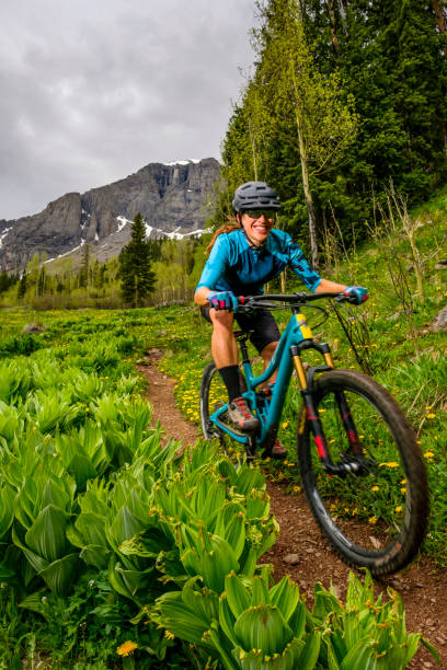 самка горного байкера едет по лесистой тропинке - mountain biking colorado action cycling стоковые фото и изображения