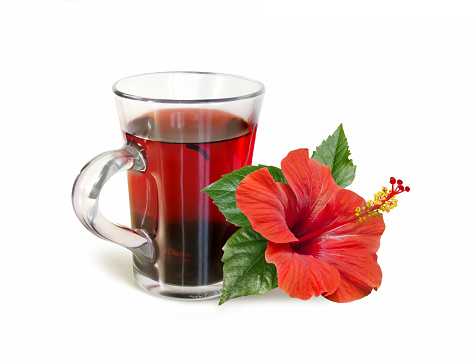 red hibiscus tea drink and bright large flower isolated on white background