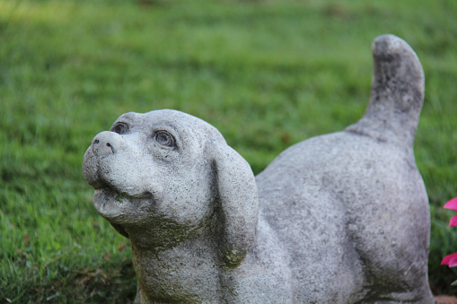 dog statue on green lawn