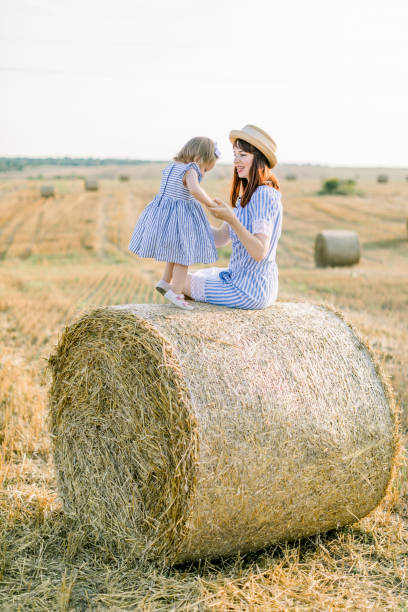 happy cute little girl child in blue striped dress hugs her young mom, sitting toegethr on hay round bale in summer autumn wheat field - wheat sunset bale autumn imagens e fotografias de stock