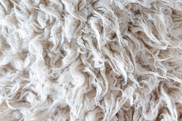 istock White fur wool texture, close-up. Useful as background 1248784732
