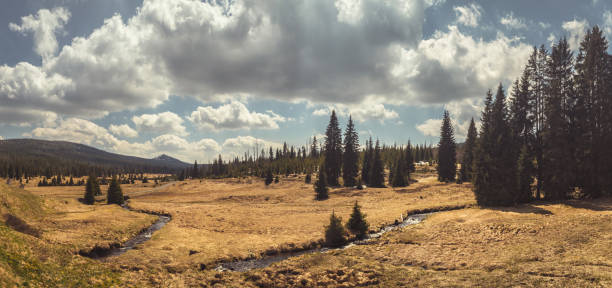 Panorama landscape with grassy valley, trees and stream, cloudy sky.\nThe Bohemian Forest (Sumava). View from Breznik to Lusen valley.