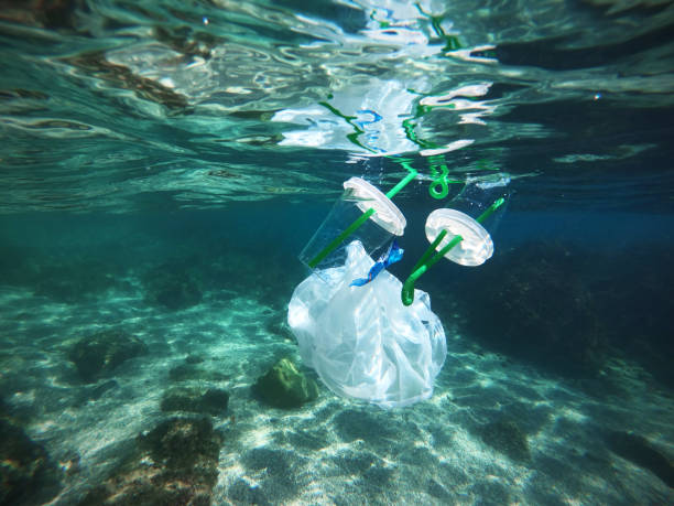 istock Plastic bags with bottles pollution in ocean 1248786416
