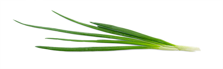 Fresh green onion, raw leaves of onion isolated on white background, top view