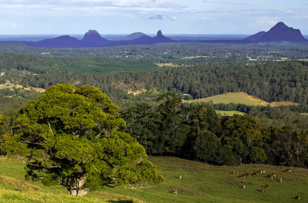 istock Glass House Mountains 1248786928