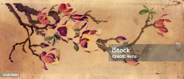 紙テクスチャヴィンテージの花柄プリント - グランジ加工のベクターアート素材や画像を多数ご用意 - グランジ加工, 花, カラー画像