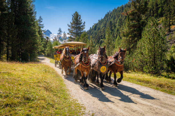 ヴァル・ロゼグでの馬車乗り(スイス、グラウビュンデン州エンガディン) - engadin valley engadine european alps mountain ストックフォトと画像